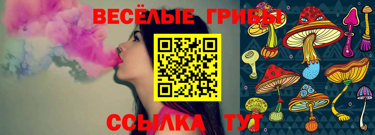 Галлюциногенные грибы Magic Shrooms  Псилоцибиновые грибы мицелий  Вход с VPN  Чита 